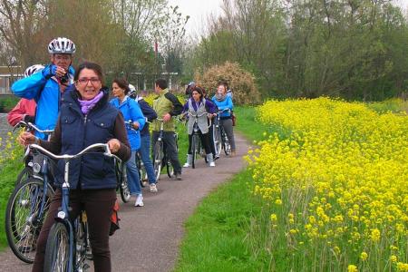 Boat & Bike Tulip Tour